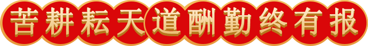 鑫海頒發(fā)獎(jiǎng)狀