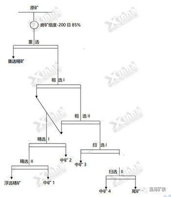 玻利維亞1000TPD銅礦選礦項(xiàng)目