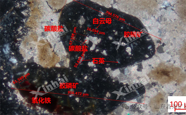 膠磷礦礦石性質(zhì)