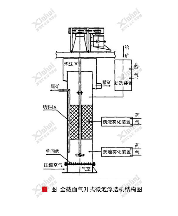 全截面氣升式微泡浮選機結(jié)構(gòu)原理圖