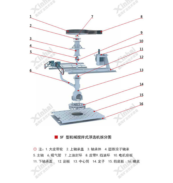 SF型機械攪拌式浮選機結(jié)構(gòu)原理圖